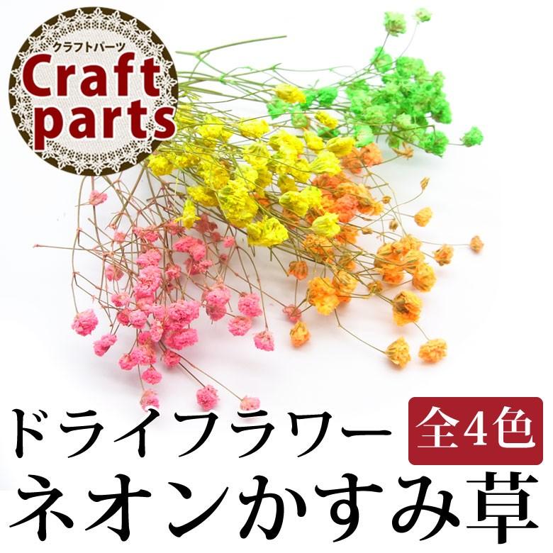 宅配便発送のみ ドライフラワー ネオン かすみ草 全4種 ココロネイル Kokoronail 通販 Yahoo ショッピング