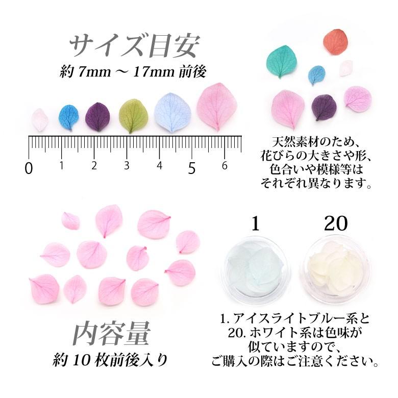 ドライフラワー ソフトタイプ 紫陽花 花びら 各種 10枚入り (1-10