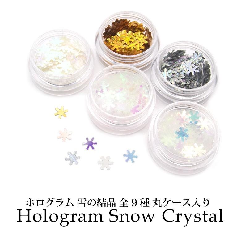 ホログラム 雪の結晶 全9種 丸ケース入り :n00015:ココロネイル KokoroNail - 通販 - Yahoo!ショッピング ホログラム 雪の結晶 全9種 丸ケース入り :n00015:ココロネイル KokoroNail - 通販 - Yahoo!ショッピング