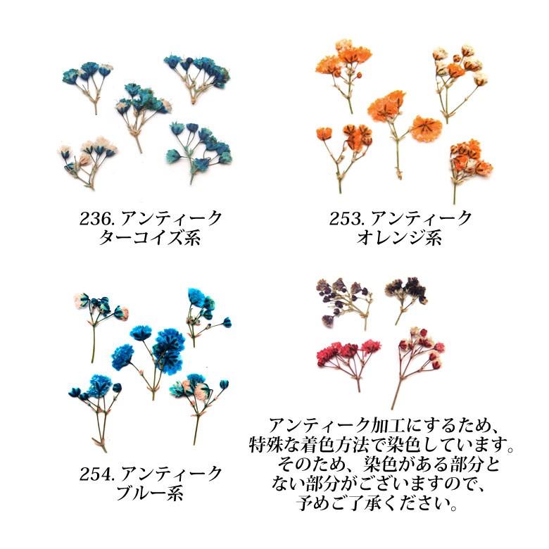押し花 ドライフラワー 232 236 各種 10枚入り N ココロネイル Kokoronail 通販 Yahoo ショッピング