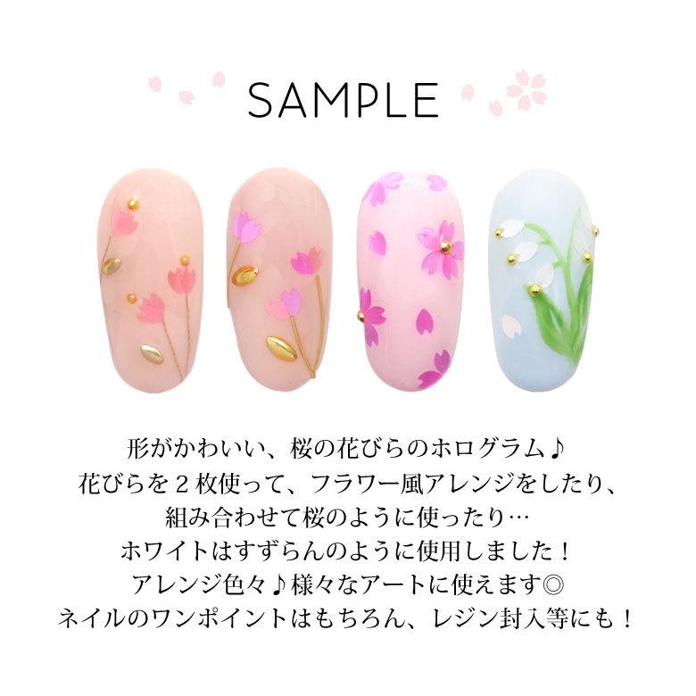 公式】 ホログラム種 約1.5g前後入り 4種13カラー ケース入り ネイルアート 公式】 ホログラム種 約1.5g前後入り 4種13カラー ケース入り ネイルアート