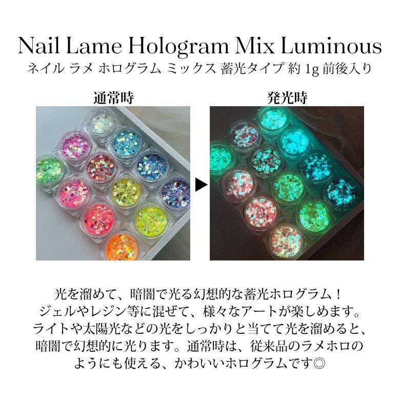 ネイル ラメ ホログラム ミックス 蓄光タイプ 約1g前後入り : ココロ