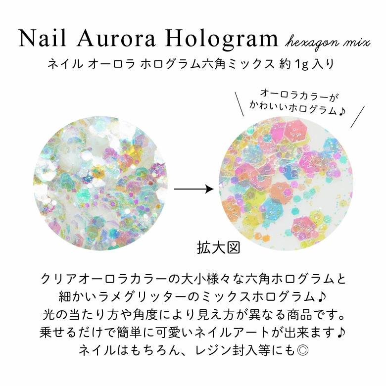 ネイル オーロラ ホログラム 六角 ミックス 約1g ケース入り