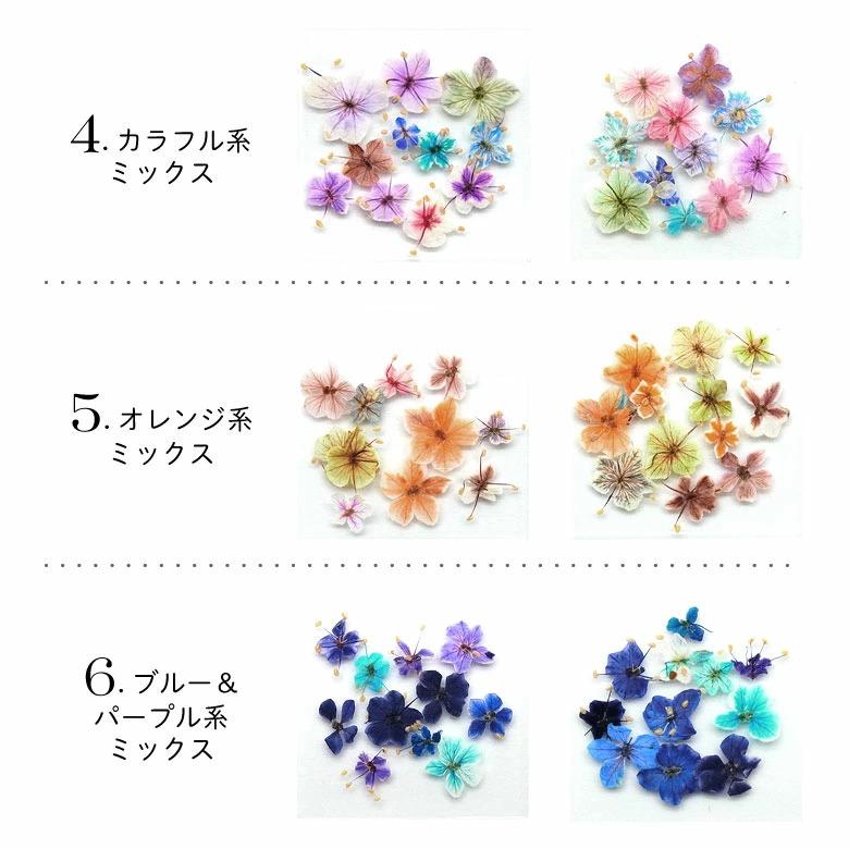 数量限定 ドライフラワー 押し花 ミックス 四角ケース入り 1個