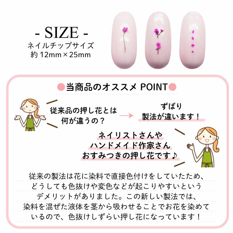 押し花 レースフラワー グラデーション ミックスタイプ : ココロネイル