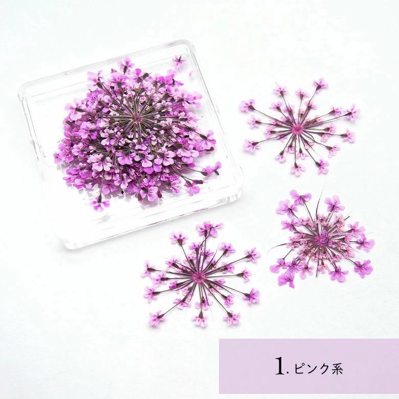 押し花 レースフラワー グラデーション ミックスタイプ : ココロネイル