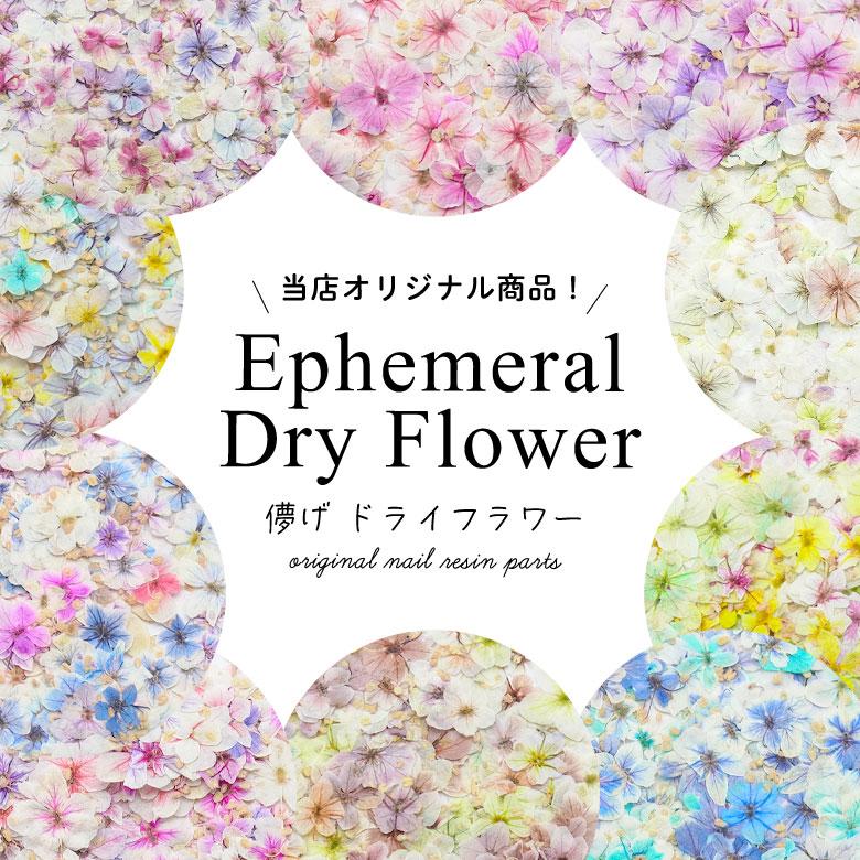 儚げ ドライフラワー 20枚 ケース入り ネイルパーツ 押し花 儚げ ドライフラワー 20枚 ケース入り ネイルパーツ 押し花