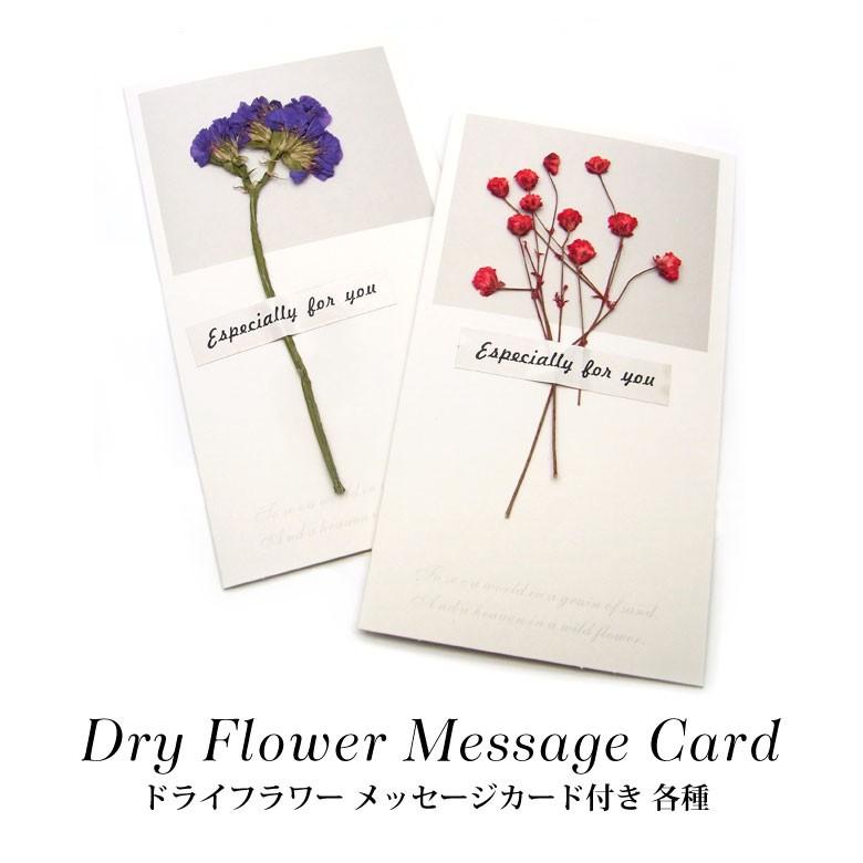 ドライフラワー メッセージカード付き 各種 22 33 R ココロネイル Kokoronail 通販 Yahoo ショッピング