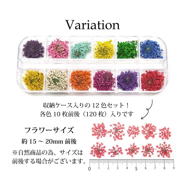 ドライフラワー 押し花 大容量1枚前後入り 12色セット 収納ケース入り 4 レースフラワーset R ココロネイル Kokoronail 通販 Yahoo ショッピング