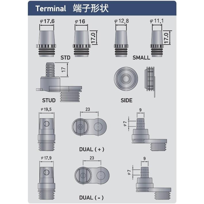えびび Amazon.co.jp: ニチレイ サラダ えび （ ボイル海老 ） 尾付き