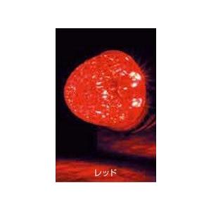 ジェットイノウエ JET 532637 LED スターライトバスマーカーランプ零