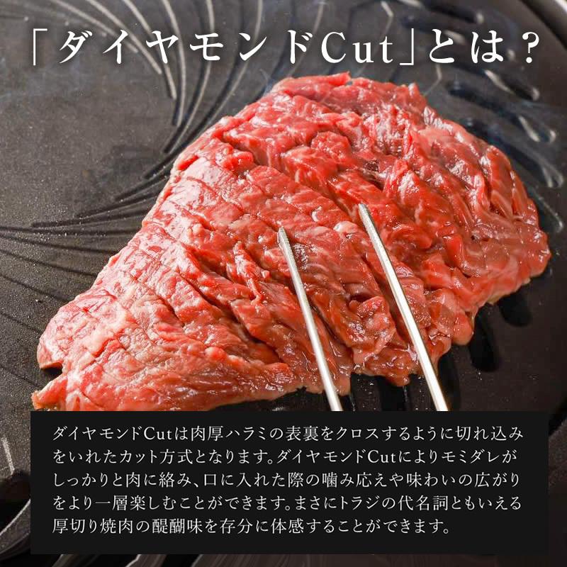 送料無料 訳あり 焼肉 牛肉 ハラミ ダイヤモンドcutハラミ 600g  BBQ バーベキュー 肉 お取り寄せ 2~3人前｜toraji-onlinestore｜05