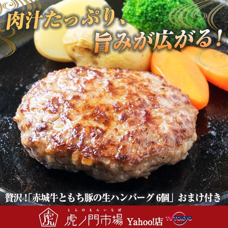 赤城牛ともち豚の生ハンバーグ 6個 ミニハンバーグ おまけ付き 虎ノ門市場 Df テレビ東京 虎ノ門市場 ヤフー店 通販 Yahoo ショッピング
