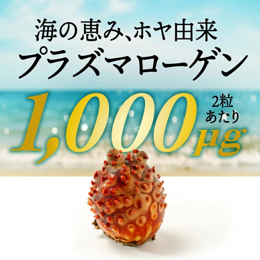 non（プラズマローゲン（活慧）3袋） プラズマローゲン1000μg 60粒(30日分) DHA126mg EPA14mg DNA17mg ホヤ