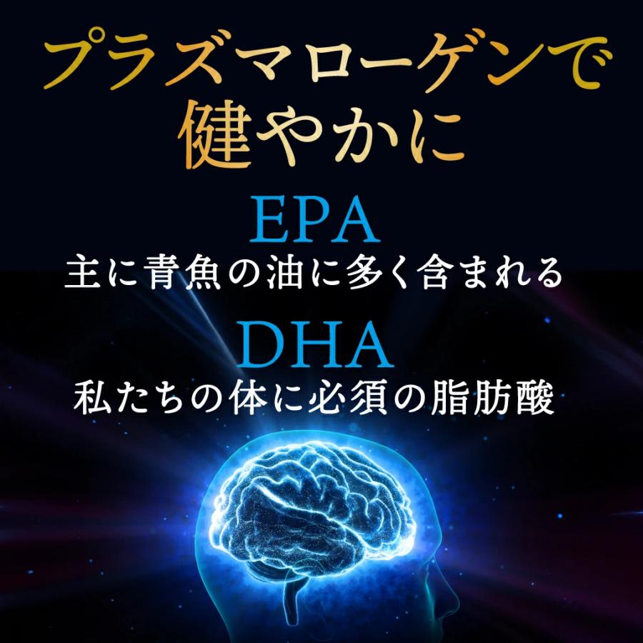 non（プラズマローゲン（活慧）3袋） プラズマローゲン1000μg 60粒(30日分) DHA126mg EPA14mg DNA17mg ホヤ