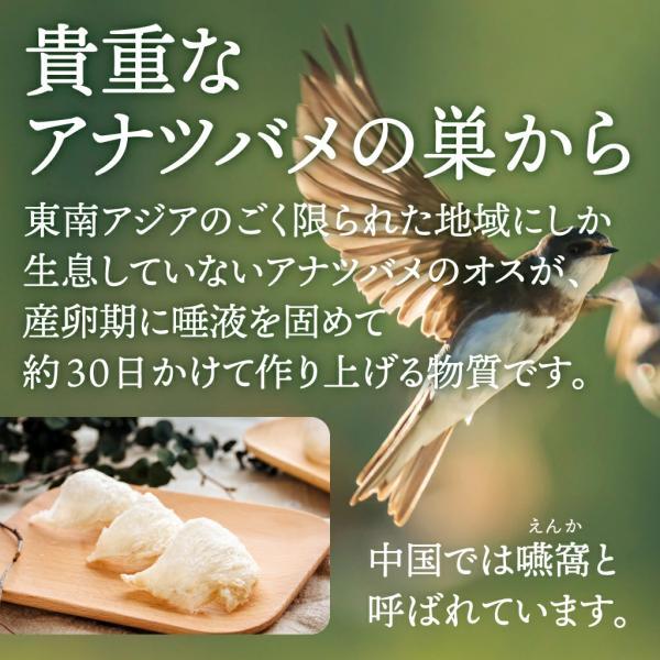 ツバメの巣サプリメント シアル酸入り 100g(約30日分) 燕の巣エキス細