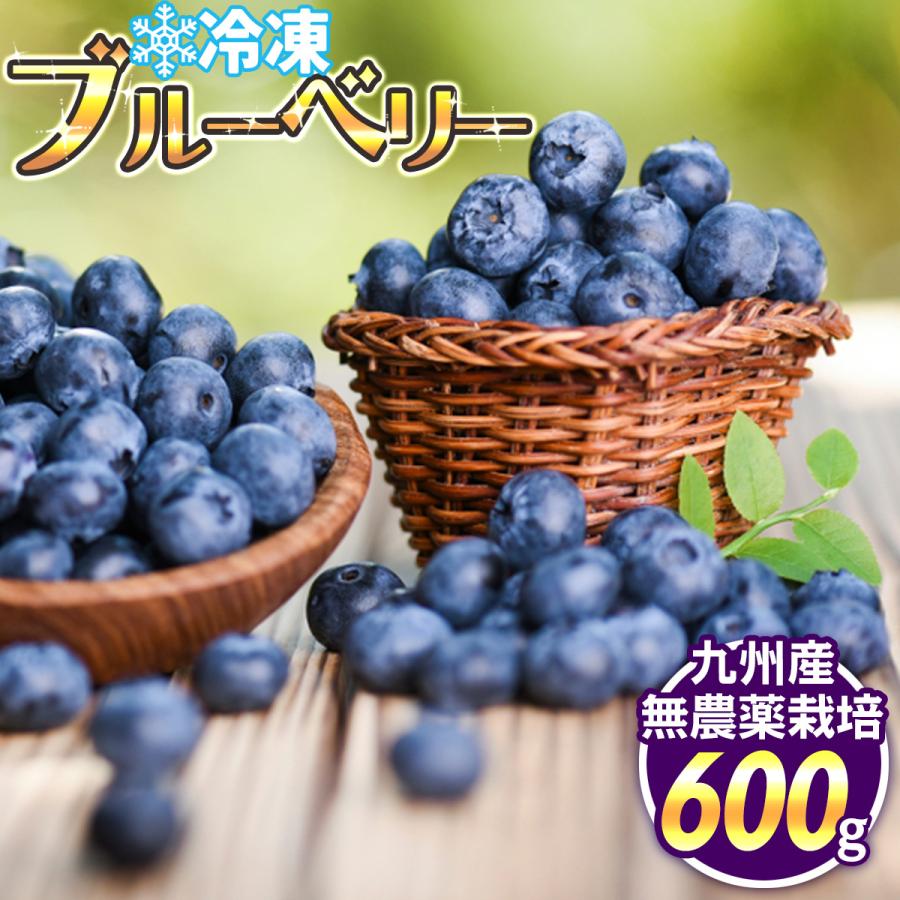 無農薬】熊本県八代産 冷凍ブルーベリー 600g 【橋永農園】 【送料無料