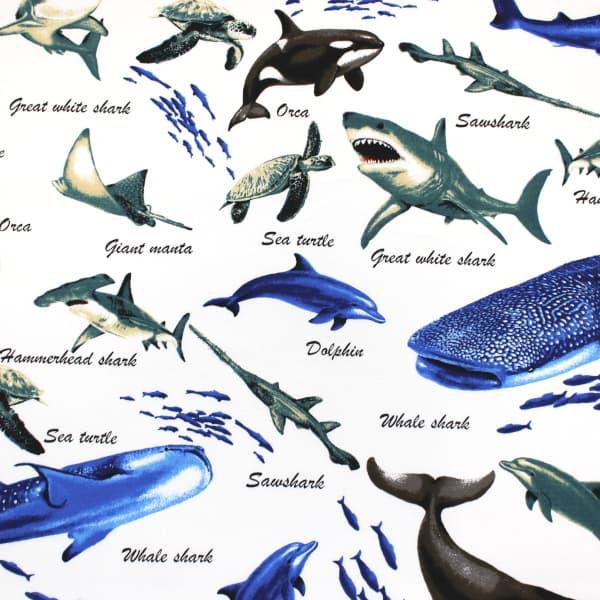 生地 布 色んなサメ サメ図鑑 シャーク 魚 オックス 綿100％ 約110cm幅