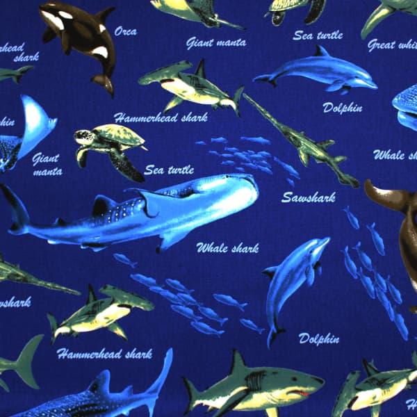 生地 布 色んなサメ サメ図鑑 シャーク 魚 オックス 綿100％ 約110cm幅
