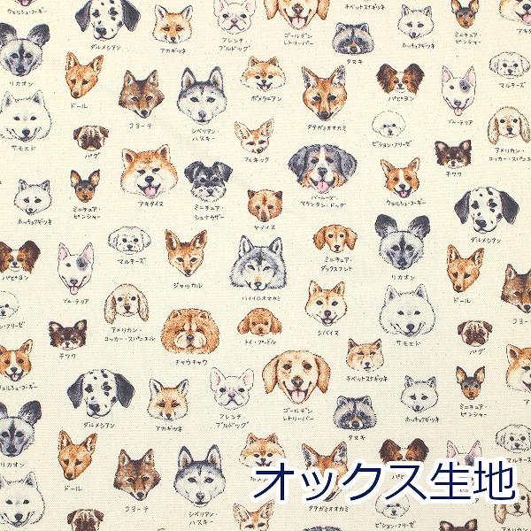 生地 布 図鑑シリーズ 図鑑イヌ いぬ わんちゃん 生成り 動物柄 生地 布 図鑑シリーズ 図鑑イヌ いぬ わんちゃん 生成り 動物柄
