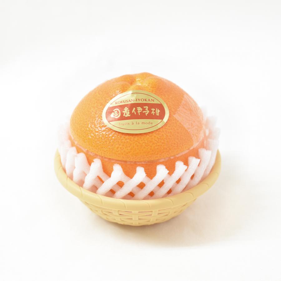 Al完売しました フルーツアラモード 愛媛伊予柑 1ケース 12個入 いよかん ゼリー かわいい フルーツ容器 フルーツゼリー 京寿楽庵 母の日 Wantannas Go Id