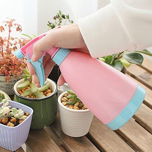 多肉の寄せ植え鉢 園芸用品 インテリア Www Riflinegroup Com