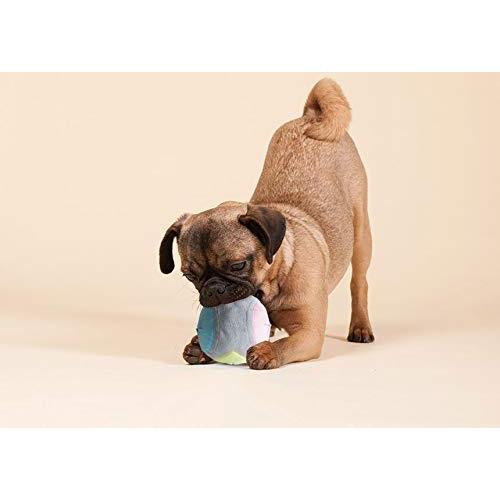 ふるさと割 動く おもちゃ 犬 犬おもちゃ 犬のおもちゃ ヘミルペットスマートジャンピングボール 電動 ペットusb充 一人遊び 自動 おもちゃ ネコ 猫 ボール おもちゃ収納 Ternamedical Org