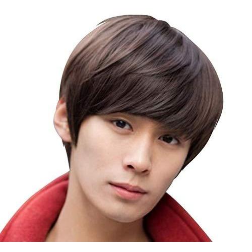 最大 オフ ウィッグ ショート メンズ かつら フルウィッグ 短髪 ストレート ファッション 男女兼用 Wig イケメン ハンサム イメチェン 男装 小