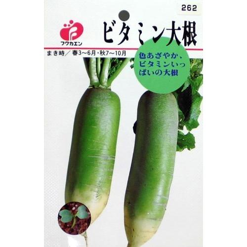 フクカエン ビタミン大根の種 （タネ）