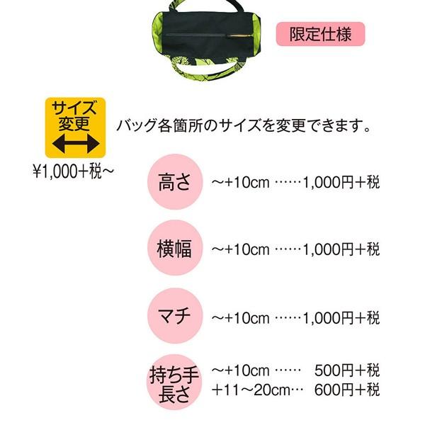 フラダンス　TUTUVI　オーダードキュメントケース　ニュートーチジンジャー　ブラック・ミント |  | 05