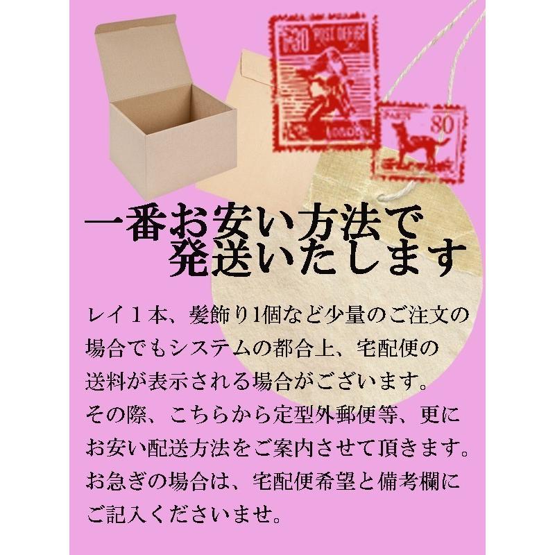 フラダンス レッスン 国内盤DVD 『HULAの手引き ジョージ