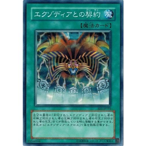 コナミデジタルエンタテインメント 遊戯王 中古ランクB(良い) EE1