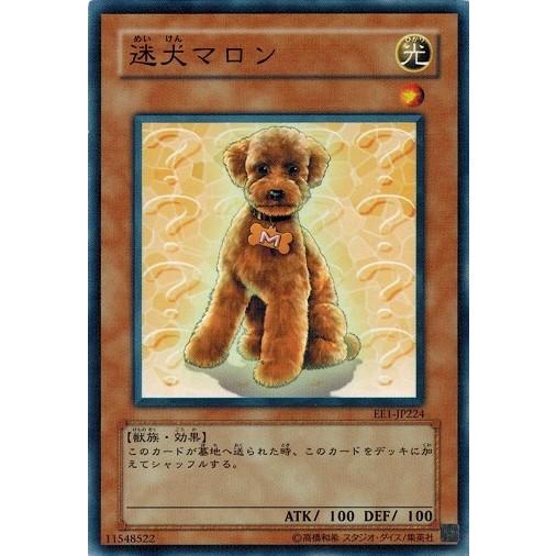 コナミデジタルエンタテインメント 遊戯王 EE1-JP224 迷犬マロン