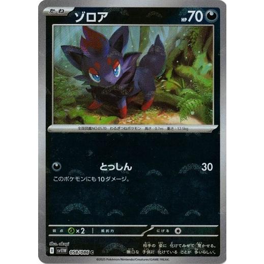 ポケモンカードゲーム ゾロア (モンスターボール) (C) ホワイトフレア