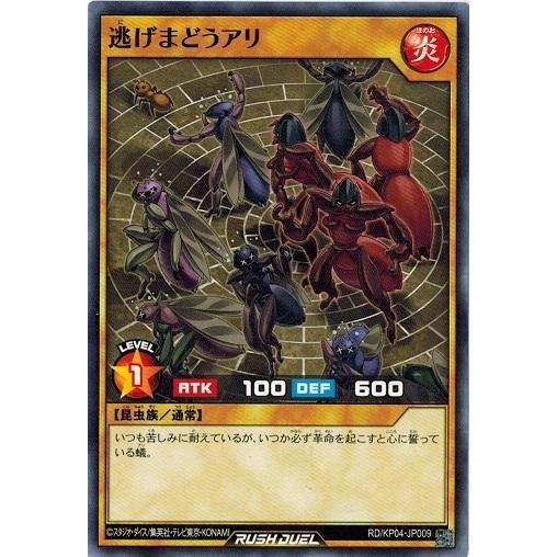 遊戯王ラッシュデュエル Rd Kp04 Jp009 逃げまどうアリ デッキ改造パック 宿命のパワーデストラクション Rd Kp04 Jp009 トレカ道 通販 Yahoo ショッピング