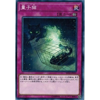 コナミデジタルエンタテインメント 遊戯王 SD32-JP037 量子猫 サイバー