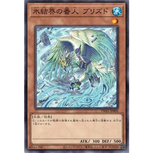 Aazon.co.jp: 遊戯王カード 霊獣の継聖(ウルトラレア) TERINAL WORLD