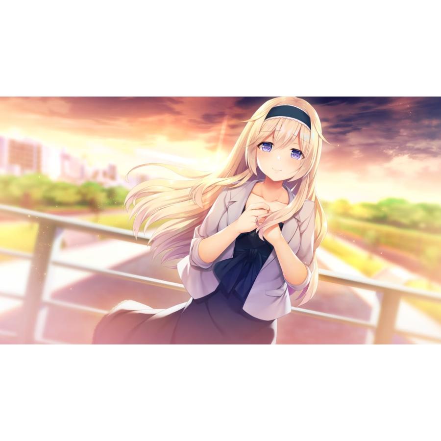 新品 Nintendo Switch どっちのiが好きですか？［Switch版