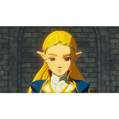 [メール便] 【新品】Nintendo Switch ゼルダ無双 厄災の黙示録の画像