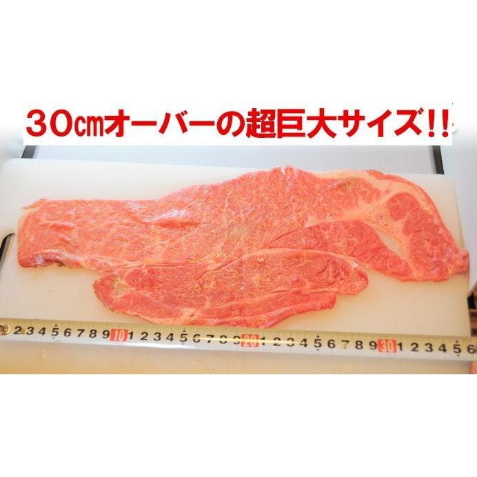 飛騨牛  A5等級 モモ カット 500g×2P 牛肉 お肉 肉 すき焼き しゃぶしゃぶ 冷凍A 送料無料 プレミアム 爆買 | 飛騨牛 | 02