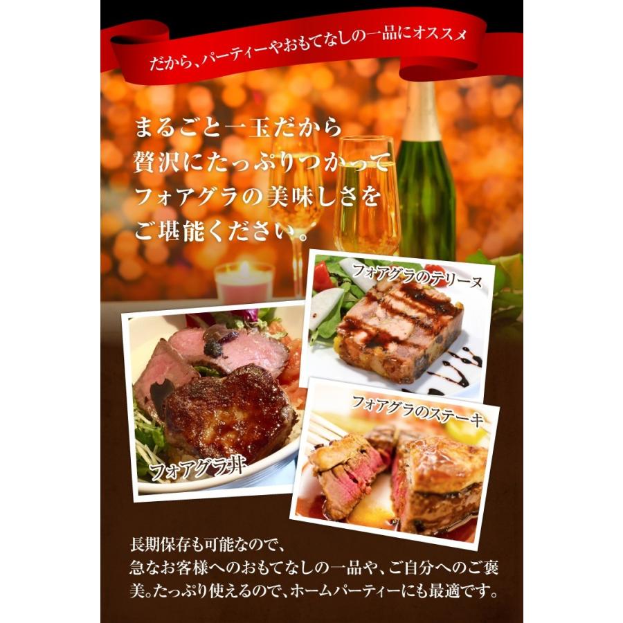 最高峰 フォアグラ・ド・カナール 約400-500ｇ 珍味 フォアグラ 送料無料 プレミアム 爆買 |  | 10