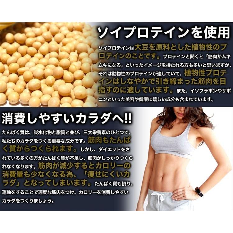 プレミアム 訳あり わけあり ダイエット おからクッキー ソイプロテイン Plus 豆乳おから プロテイン 1kg 送料無料 F1327 北海道とれたて本舗 通販 Yahoo ショッピング