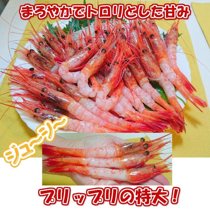 漁師直送　高級冷凍よしエビ　1kg 鮮度抜群 mukiebipp.jpg
