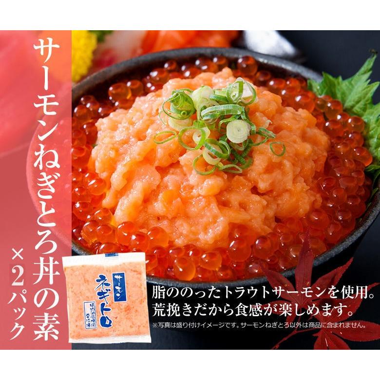 ネギサーモン　（他の方は買えません！！） 大熊産直 サーモン ねぎとろ 420g 70g×6 海鮮 鮭 しゃけ