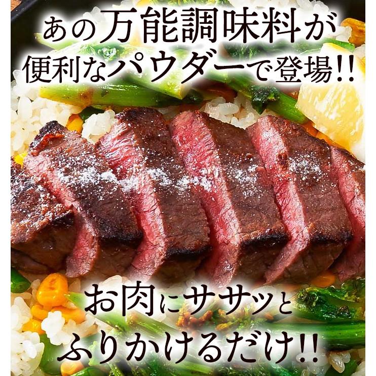 タイムセール!! 塩麹パウダー 150g 粉末タイプ 万能調味料 食材をもっと美味しく柔らかく 送料無料 プレミアム 爆買 |  | 08