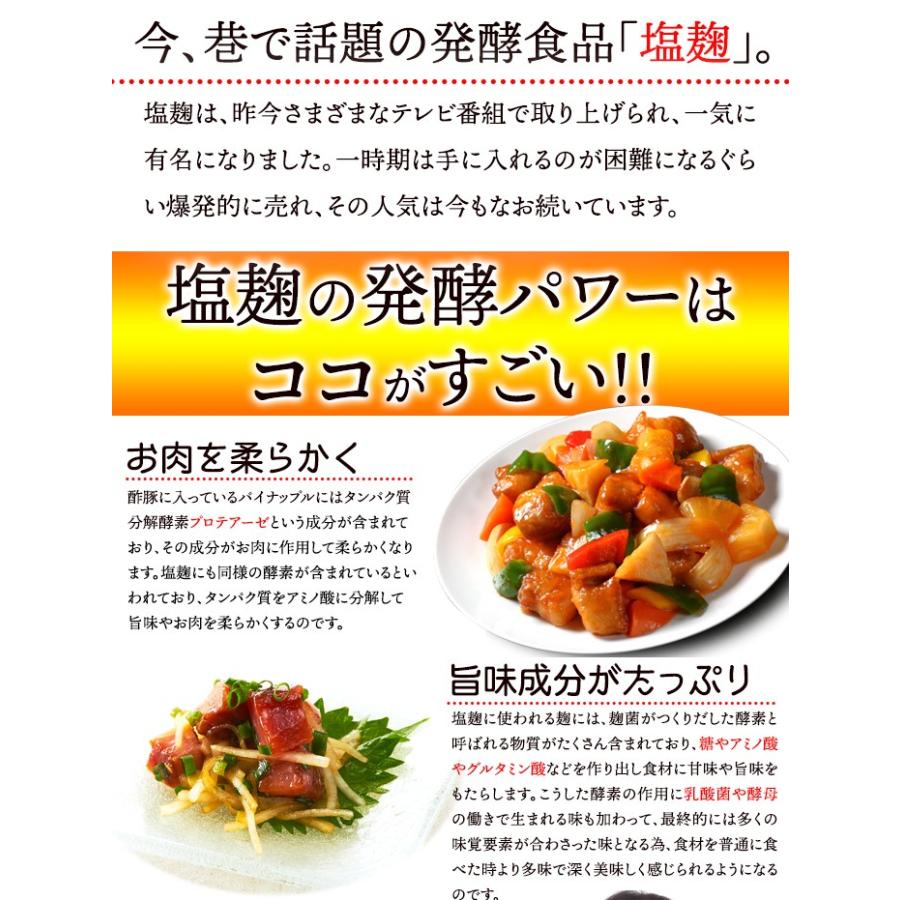タイムセール!! 塩麹パウダー 150g 粉末タイプ 万能調味料 食材をもっと美味しく柔らかく 送料無料 プレミアム 爆買 |  | 11