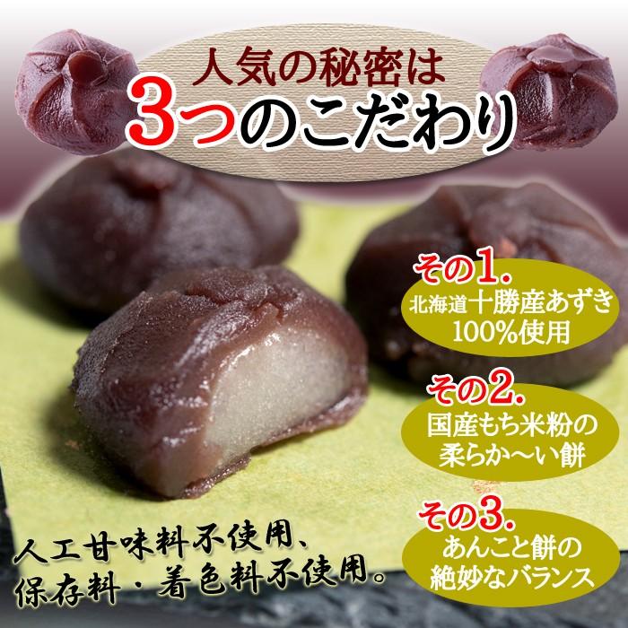 やわらか あんころもち 24個 (12個入×2袋) 北海道十勝産小豆を やわらか あんころもち 24個 (12個入×2袋) 北海道十勝産小豆を