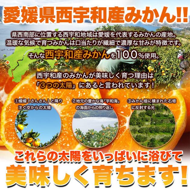 タイムセール!! 皮むき不要で食べやすくシャリっと美味しい!!【訳アリ】皮むき冷凍みかん500g 冷凍A 爆買 |  | 04