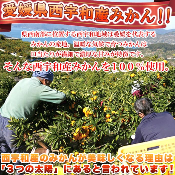 タイムセール!! 愛媛県西宇和産 みかん 100%使用!!えひめのあまーい 冷凍みかん どっさり15個(5個入×3袋・約700〜800g) 送料無料 冷凍A プレミアム 爆買 |  | 03