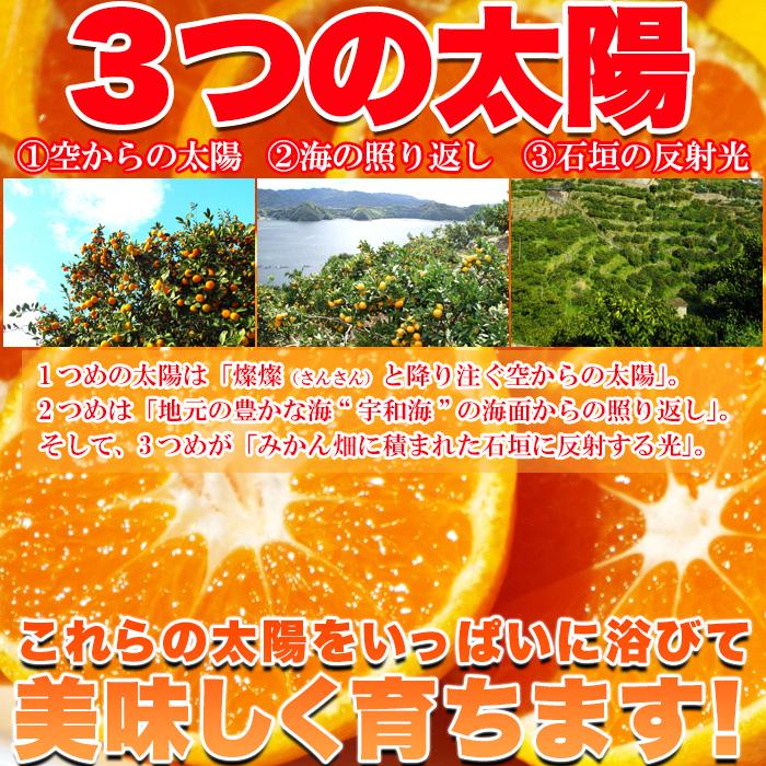 タイムセール!! 愛媛県西宇和産 みかん 100%使用!!えひめのあまーい 冷凍みかん どっさり15個(5個入×3袋・約700〜800g) 送料無料 冷凍A プレミアム 爆買 |  | 04